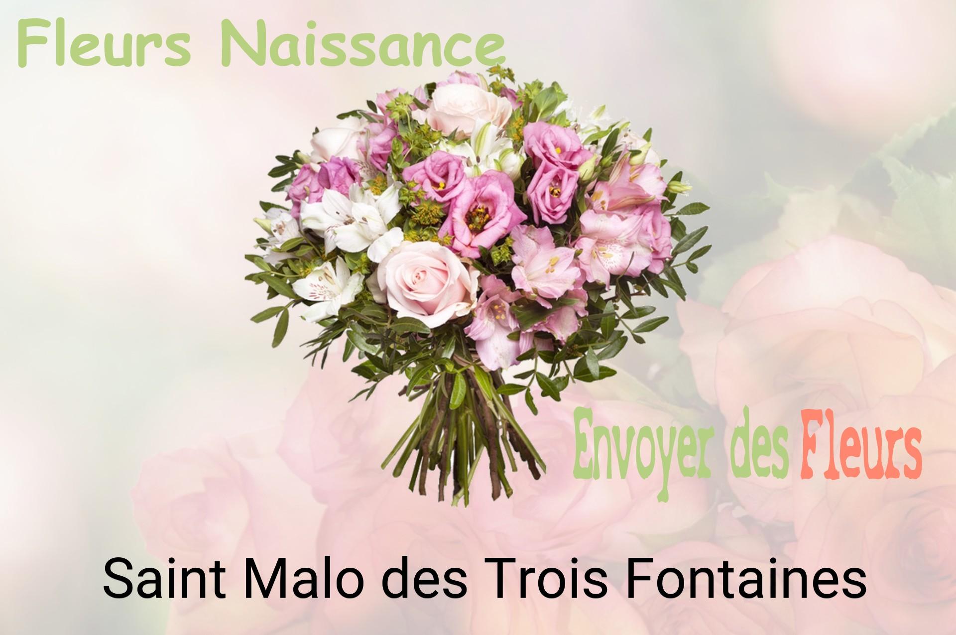 Bouquet de fleurs de naissance livré à Saint-Malo-des-Trois-Fontaines